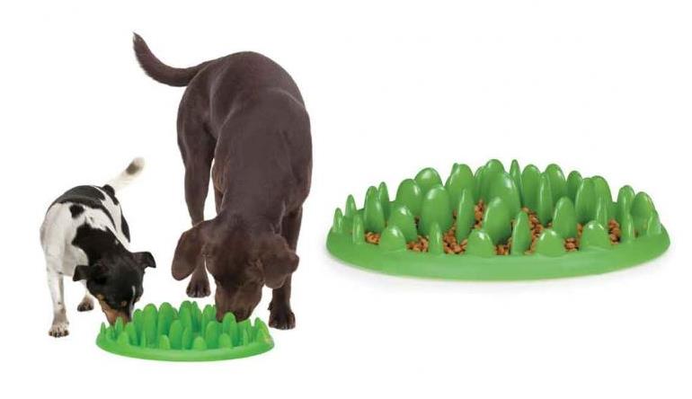 18. dog bowl to slow down fast eaters