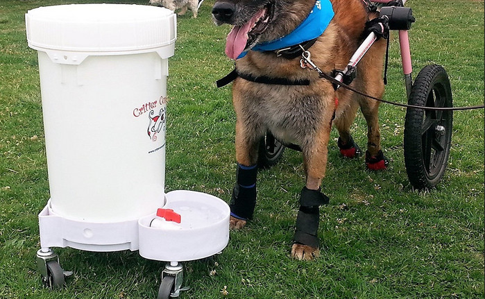 5 gallon automatic water dispenser for dogs