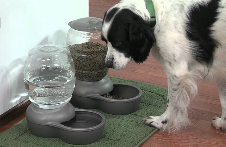 Refillable Dog Bowl It Is A Waste or A Must?