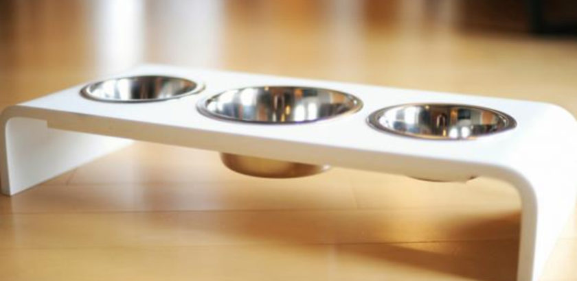 Triple Bowl Dog Feeder