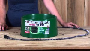 heated dog water bowls