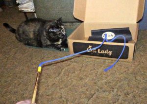 Let the Improvement Begins with Bamboozler Cat Toy