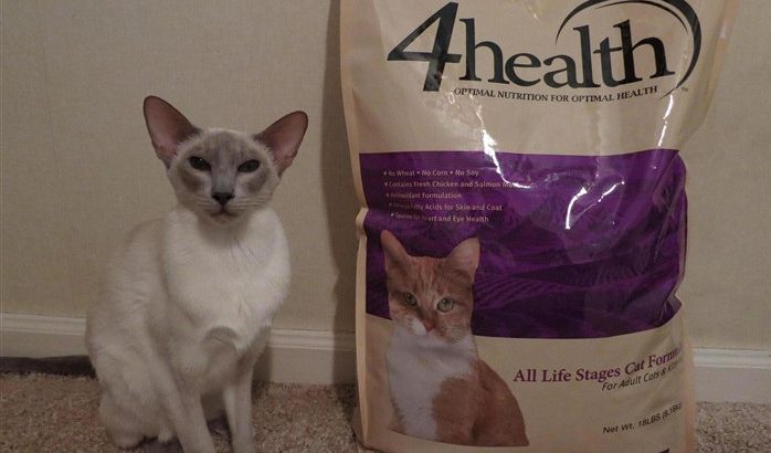 What to Look for 4health Cat Food Ingredients - Petsepark.com