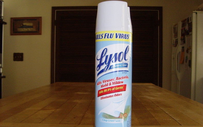 Does Lysol Kill Fleas