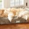 Temperpedic Dog Bed Options for Your Lovely Puppy